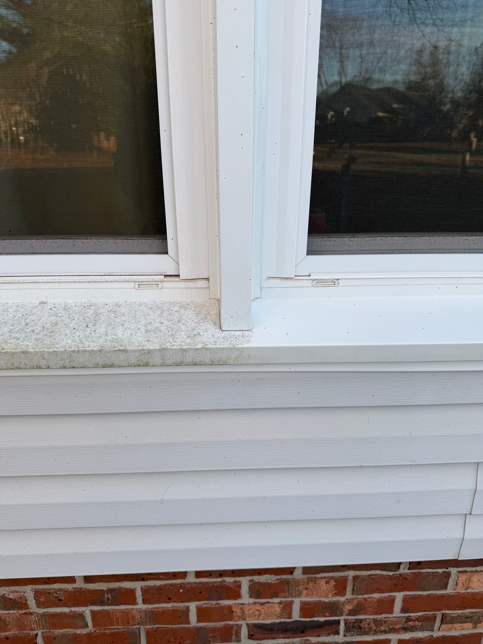 Windows Shine Bright in Simpsonville