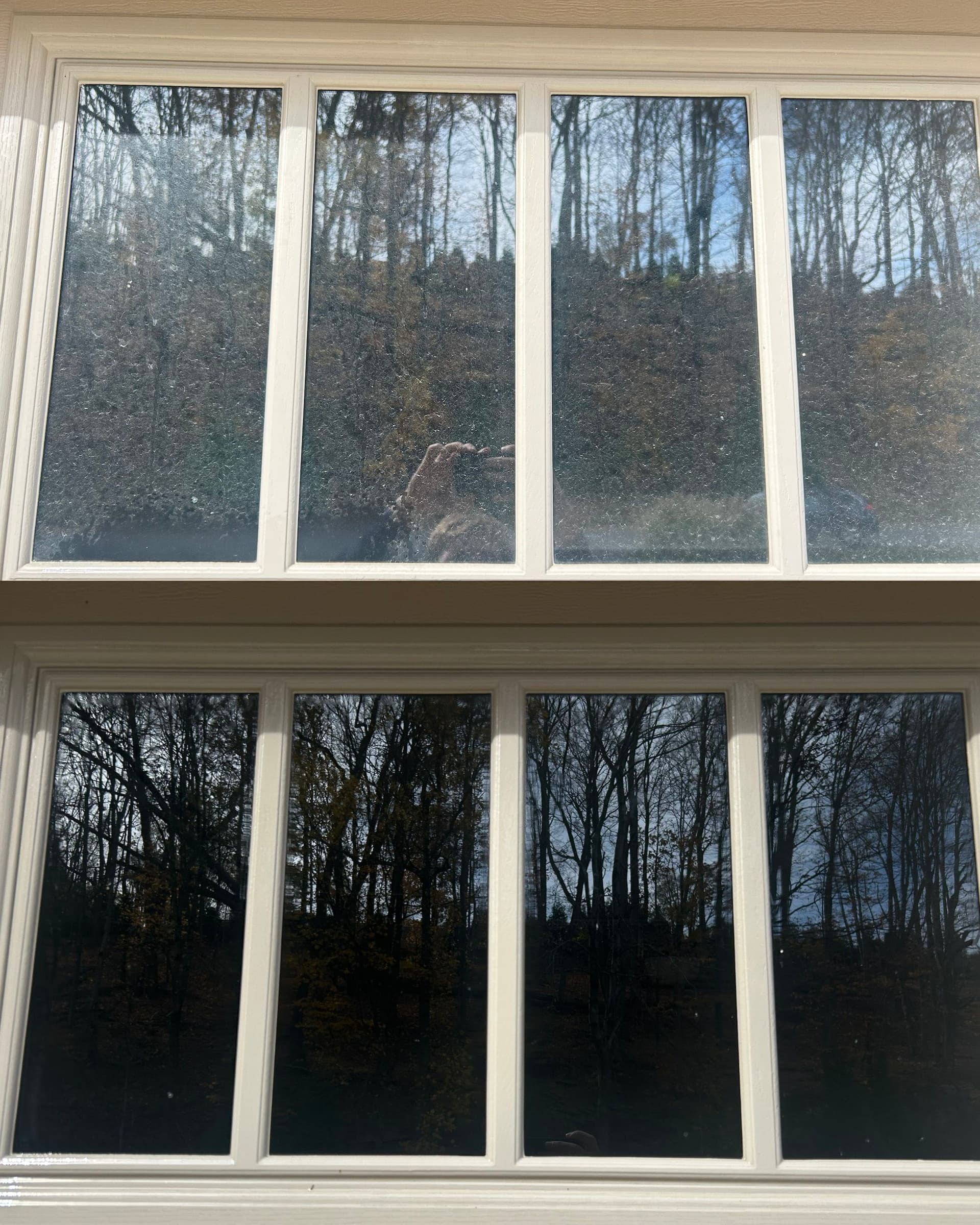 Shining Window Transformation in Greenville SC