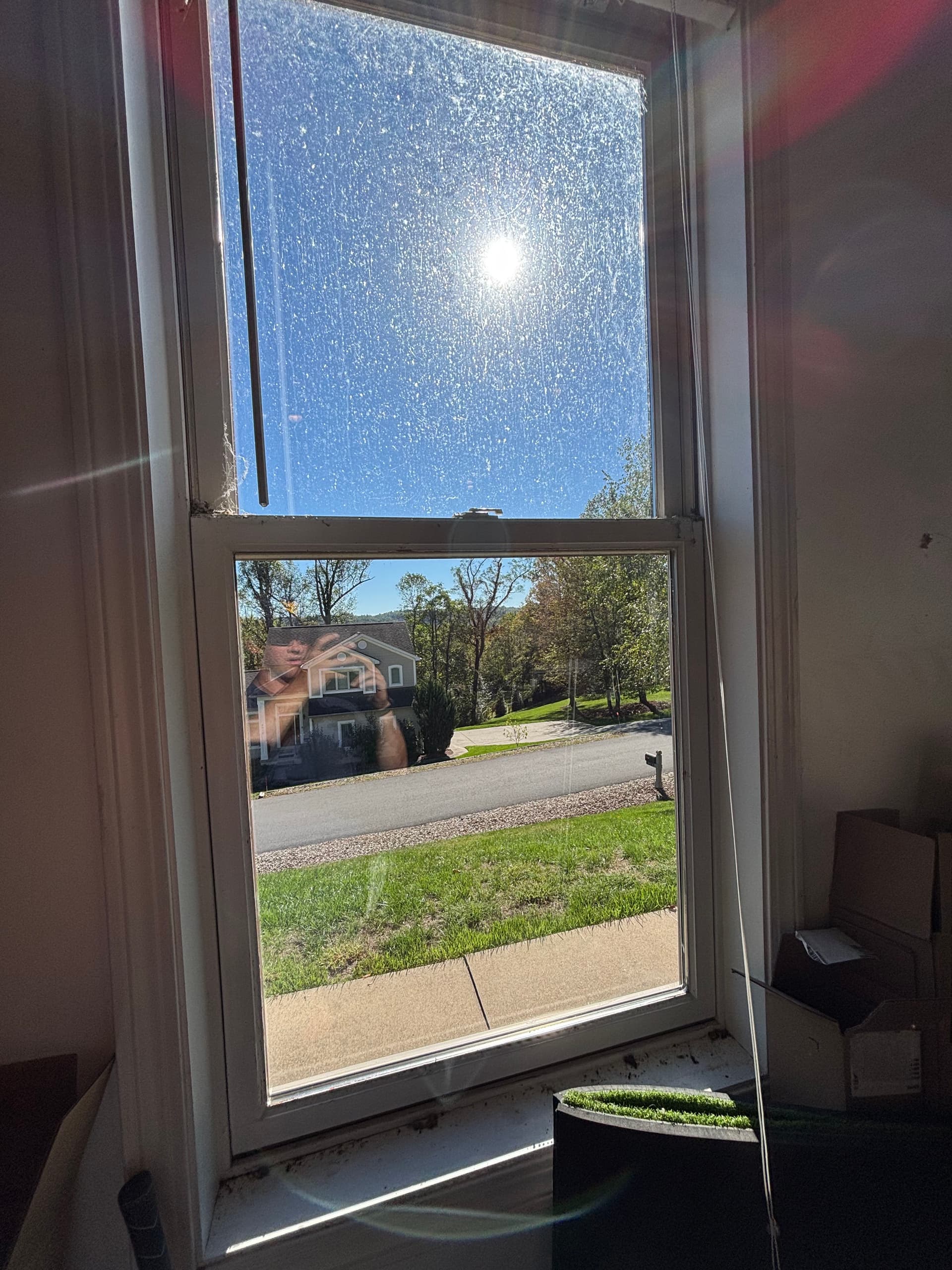 Discover the Power of Spotless Windows