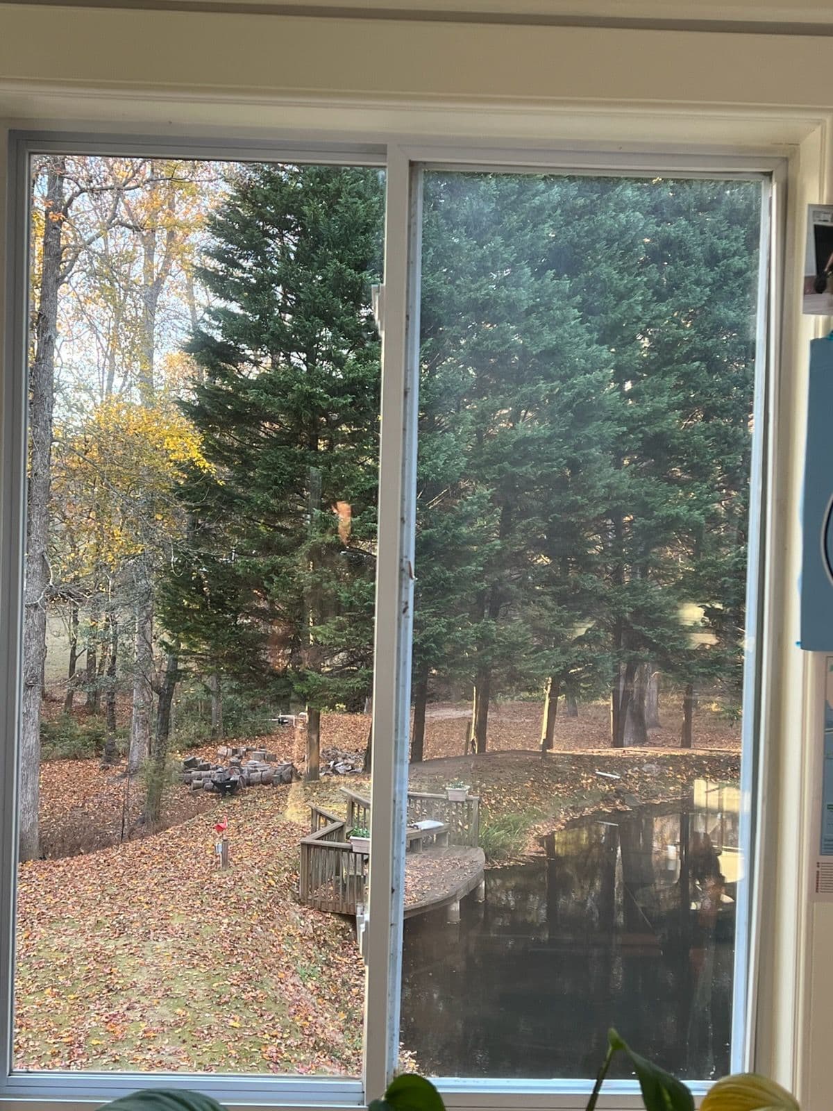 Crystal Clear Views at Home in Greenville SC