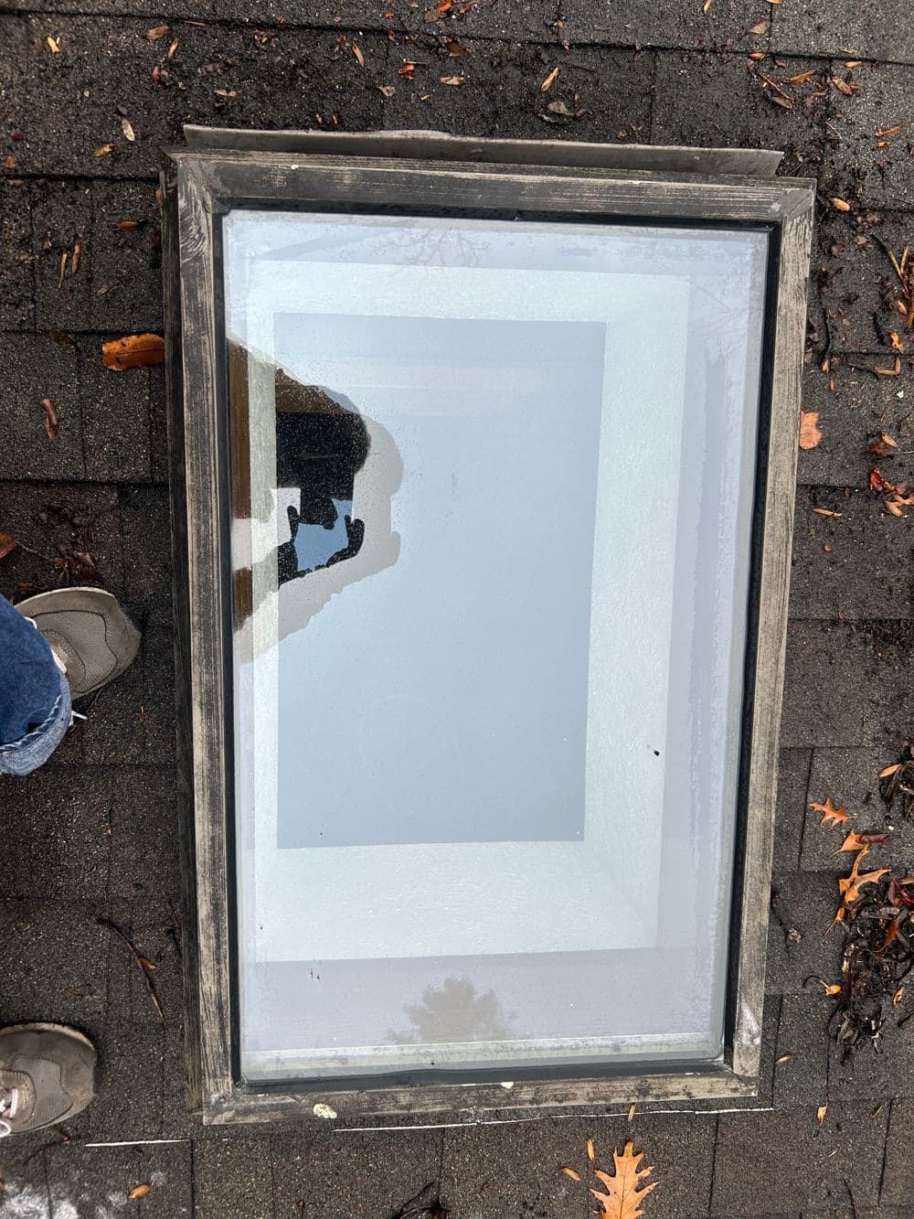 Overhead view of a framed glass window on a textured surface with fallen leaves.